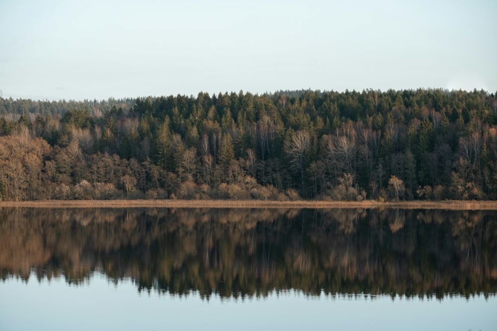 Weimarer See - alles, was Sie wissen müssen