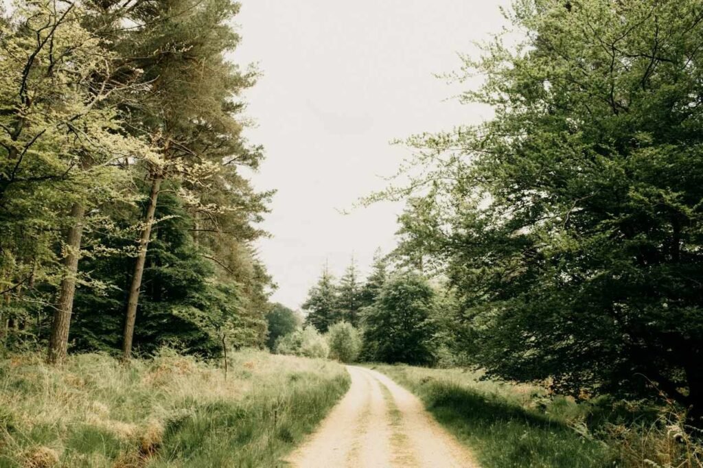 Saaleradweg: Was kann man dort erleben?
