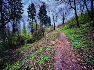 Die Besonderheiten des Napoleon-Wanderwegs Jena Napoleon-Wanderweg: das können Sie erwarten